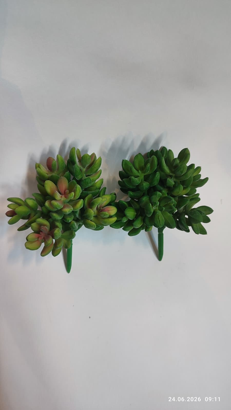 Suculente Decorative Artificiale