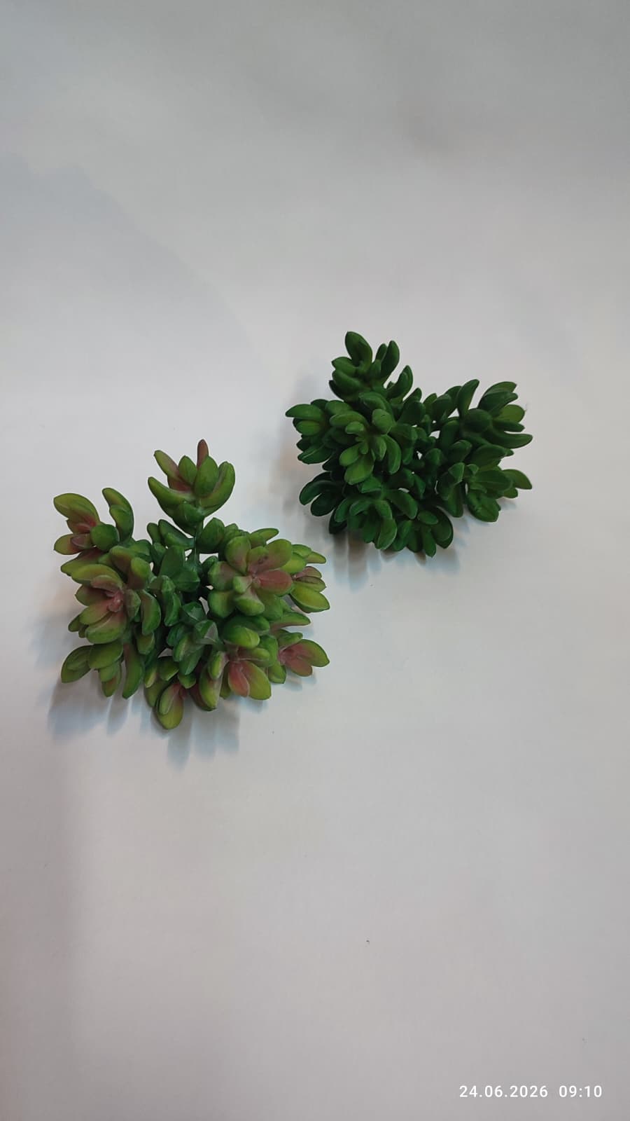 Suculente Decorative Artificiale