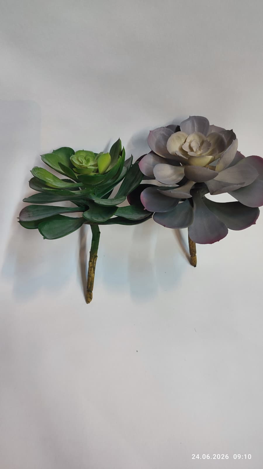Suculente Decorative Artificiale