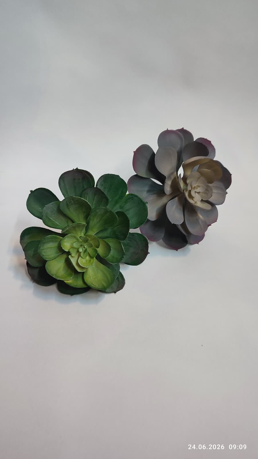 Suculente Decorative Artificiale