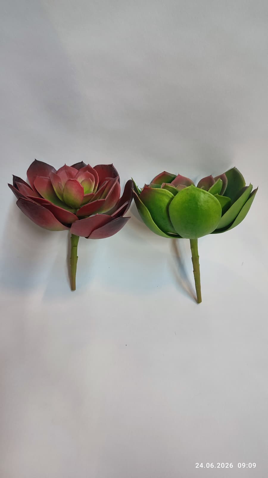 Suculente Decorative Artificiale