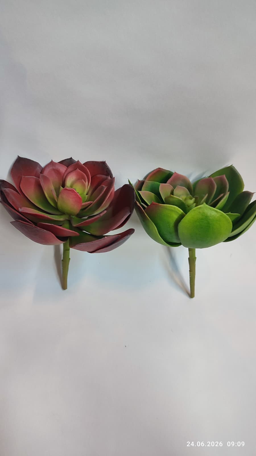 Suculente Decorative Artificiale