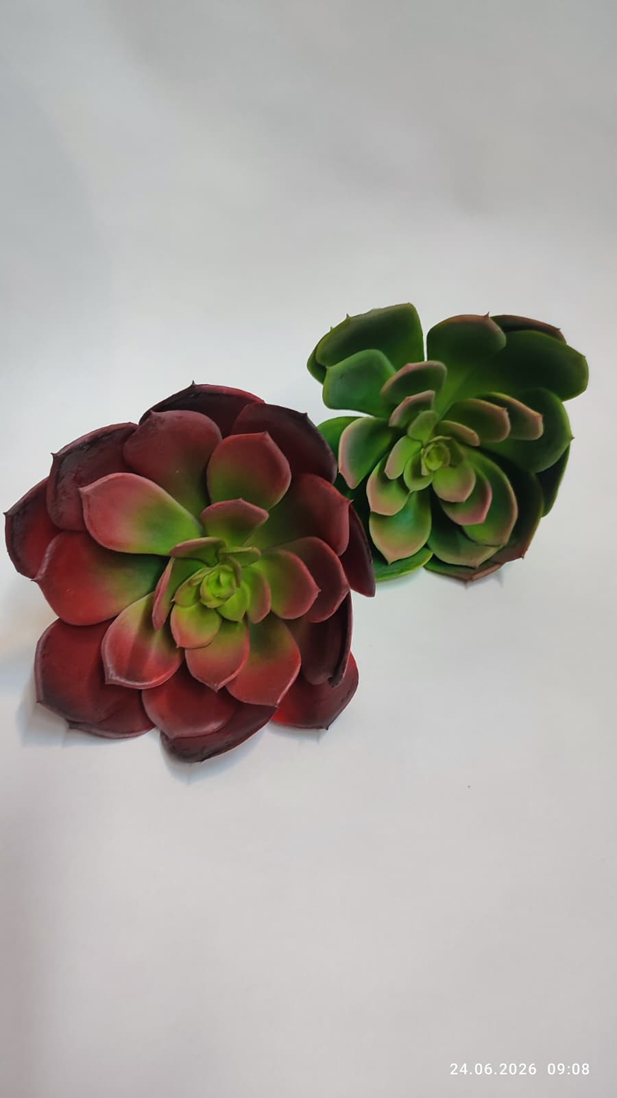 Suculente Decorative Artificiale