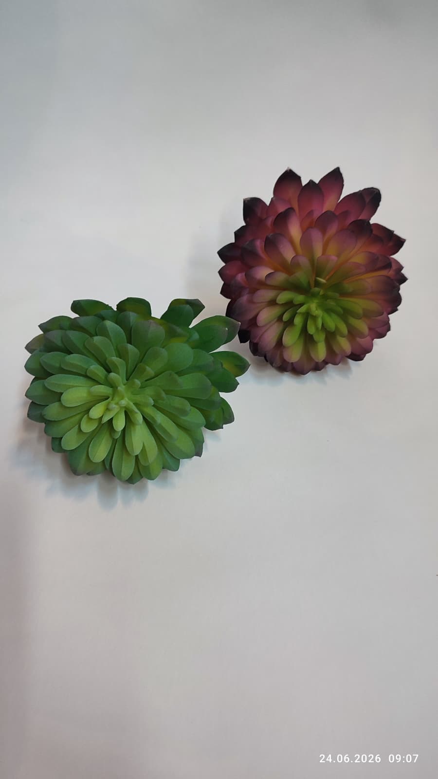 Suculente Decorative Artificiale