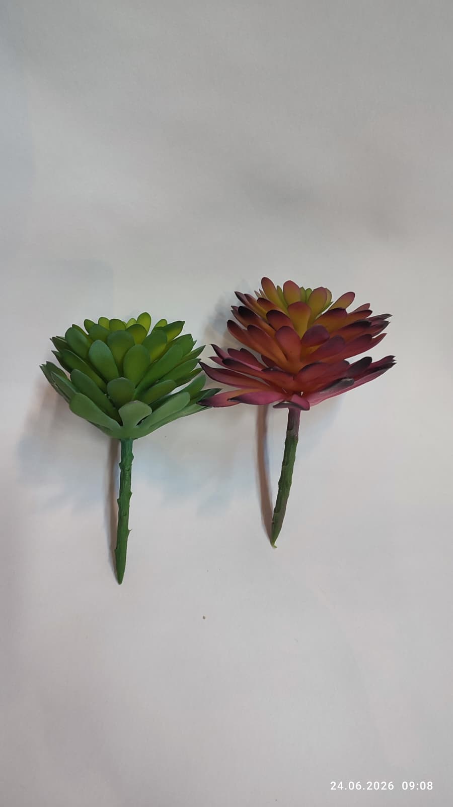 Suculente Decorative Artificiale