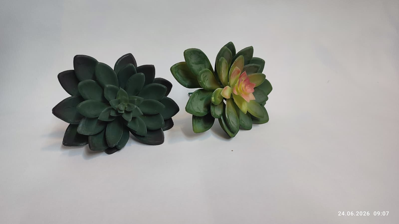 Suculente Decorative Artificiale