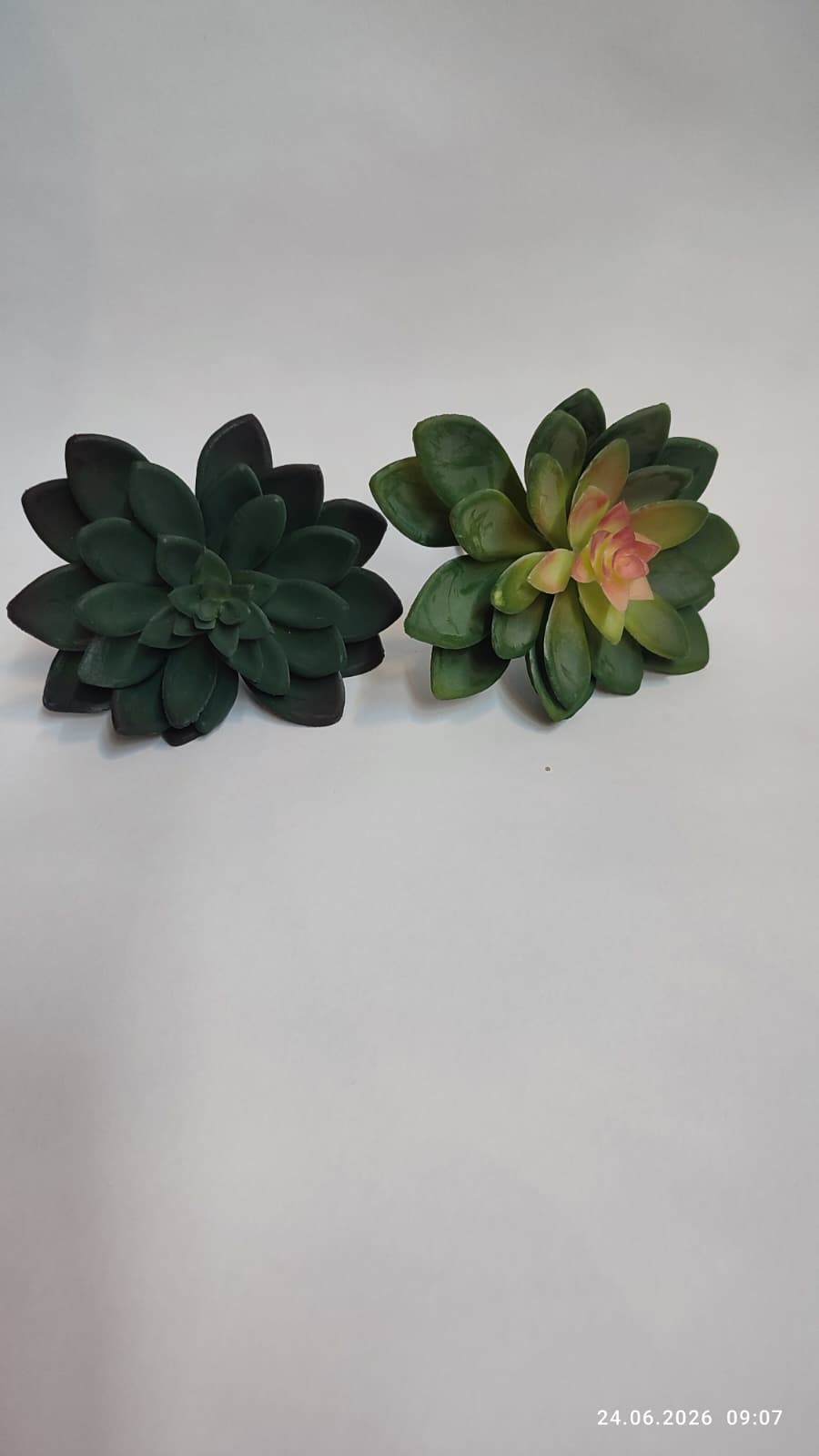Suculente Decorative Artificiale