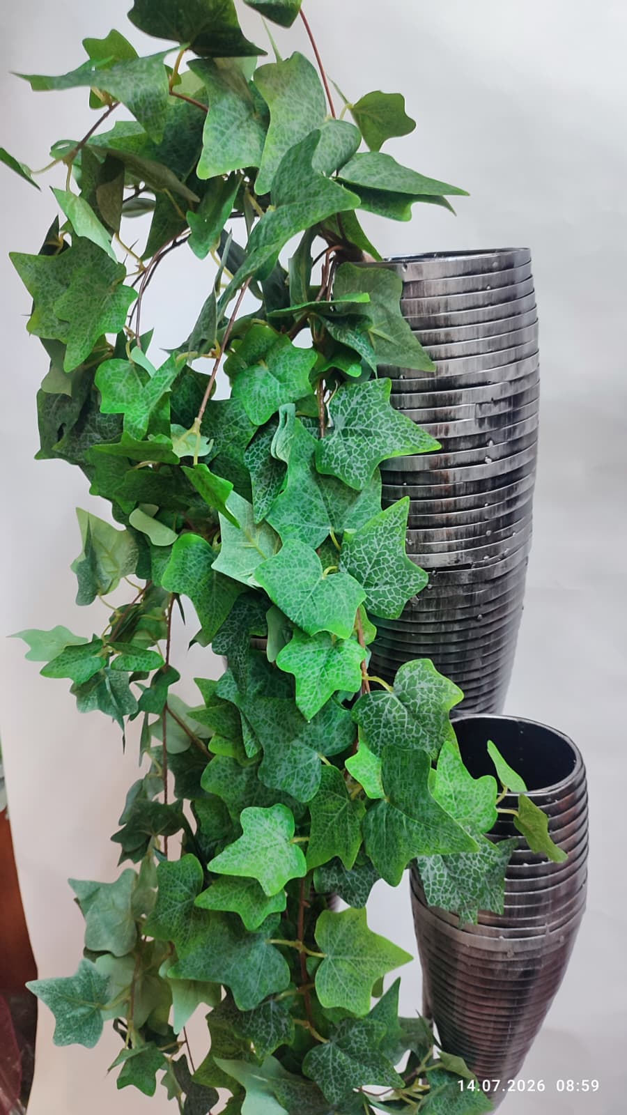 Plante Curgatoare