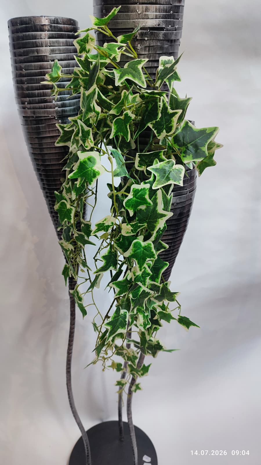 Plante Curgatoare