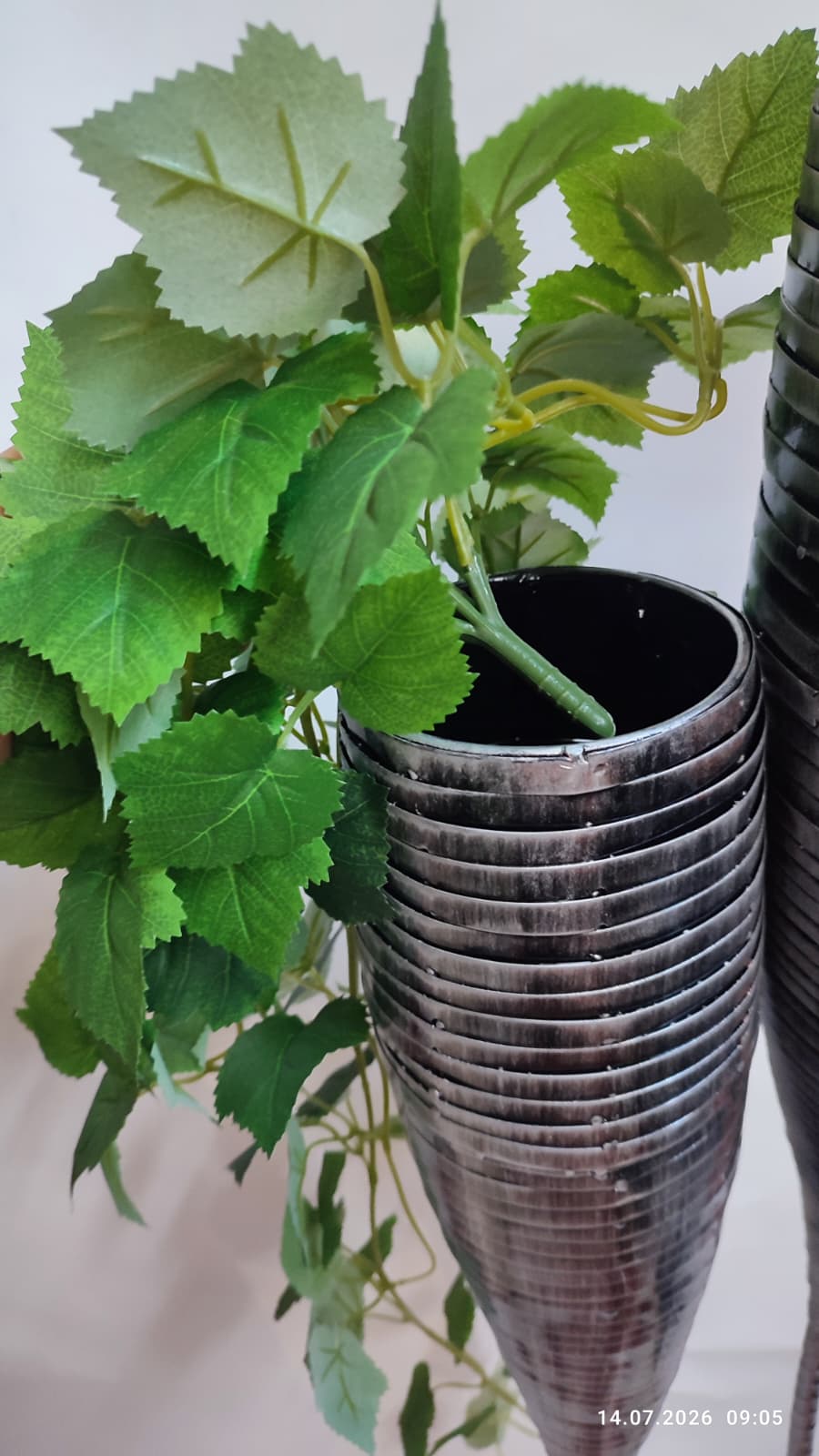Plante Curgatoare
