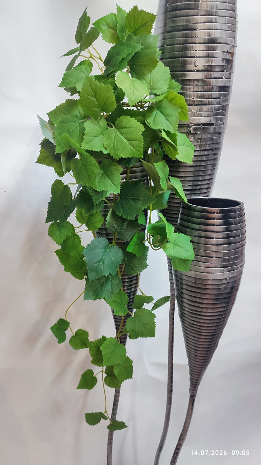 Plante Curgatoare