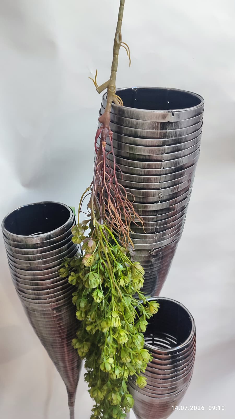 Plante Curgatoare