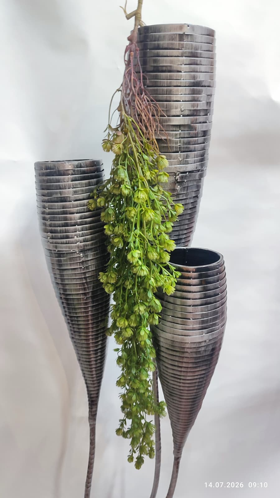 Plante Curgatoare