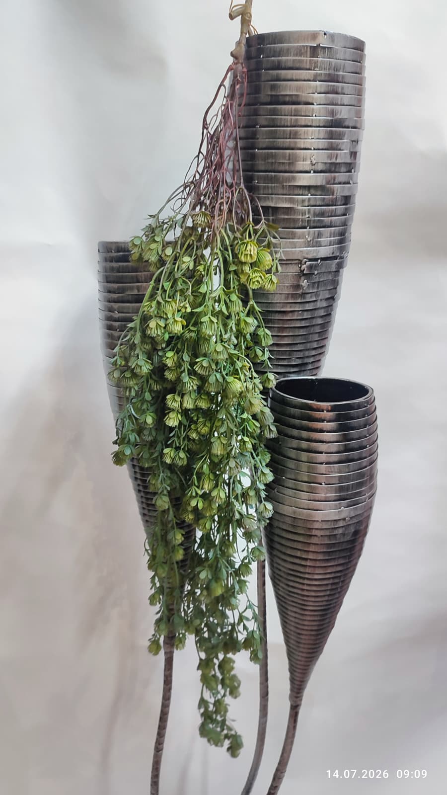 Plante Curgatoare