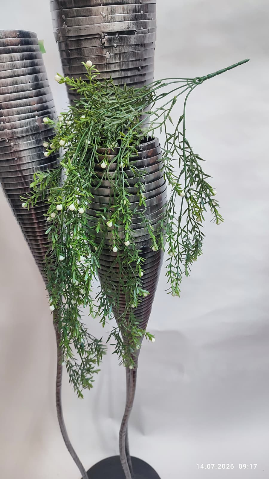 Plante Curgatoare