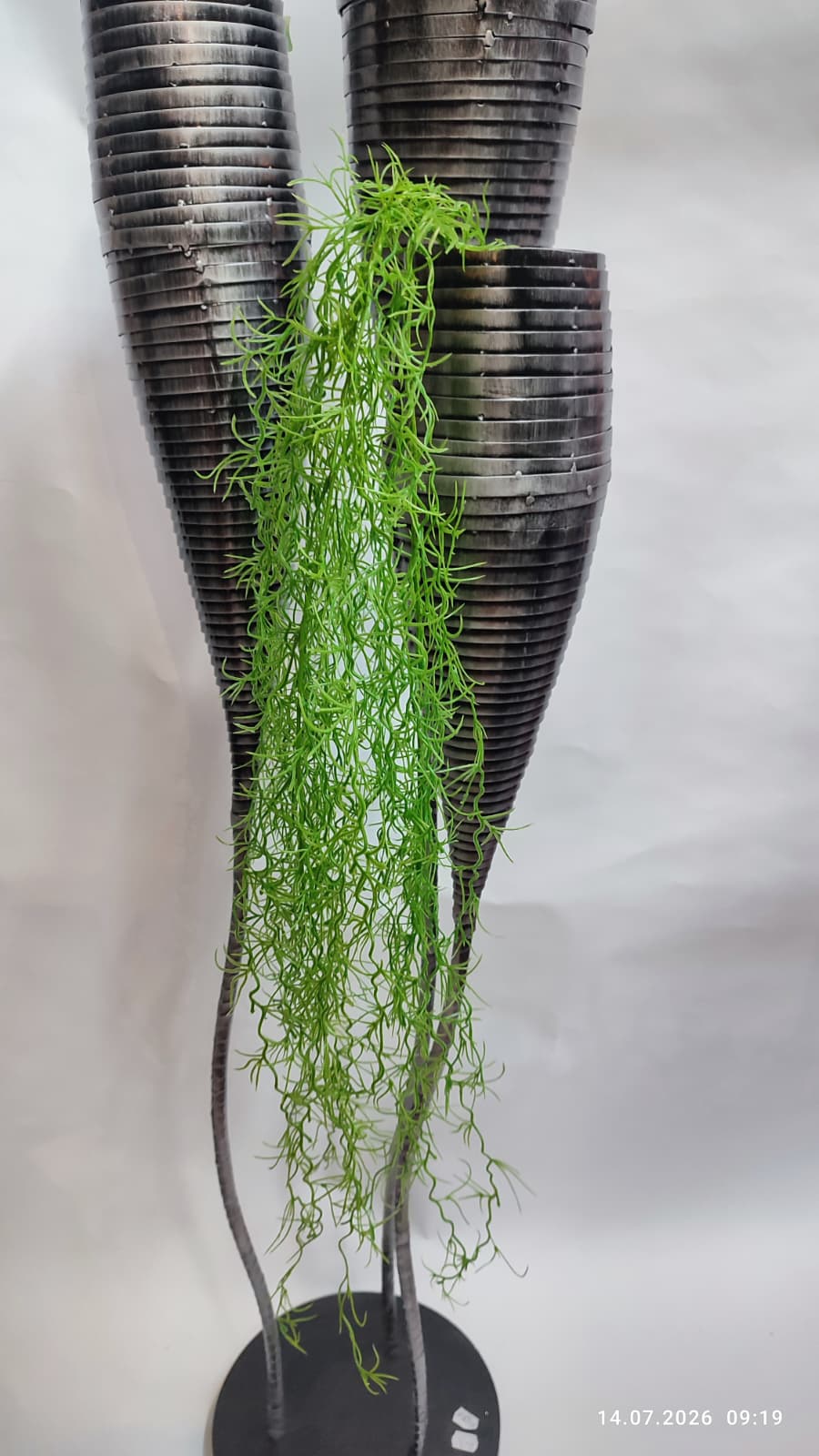 Plante Curgatoare