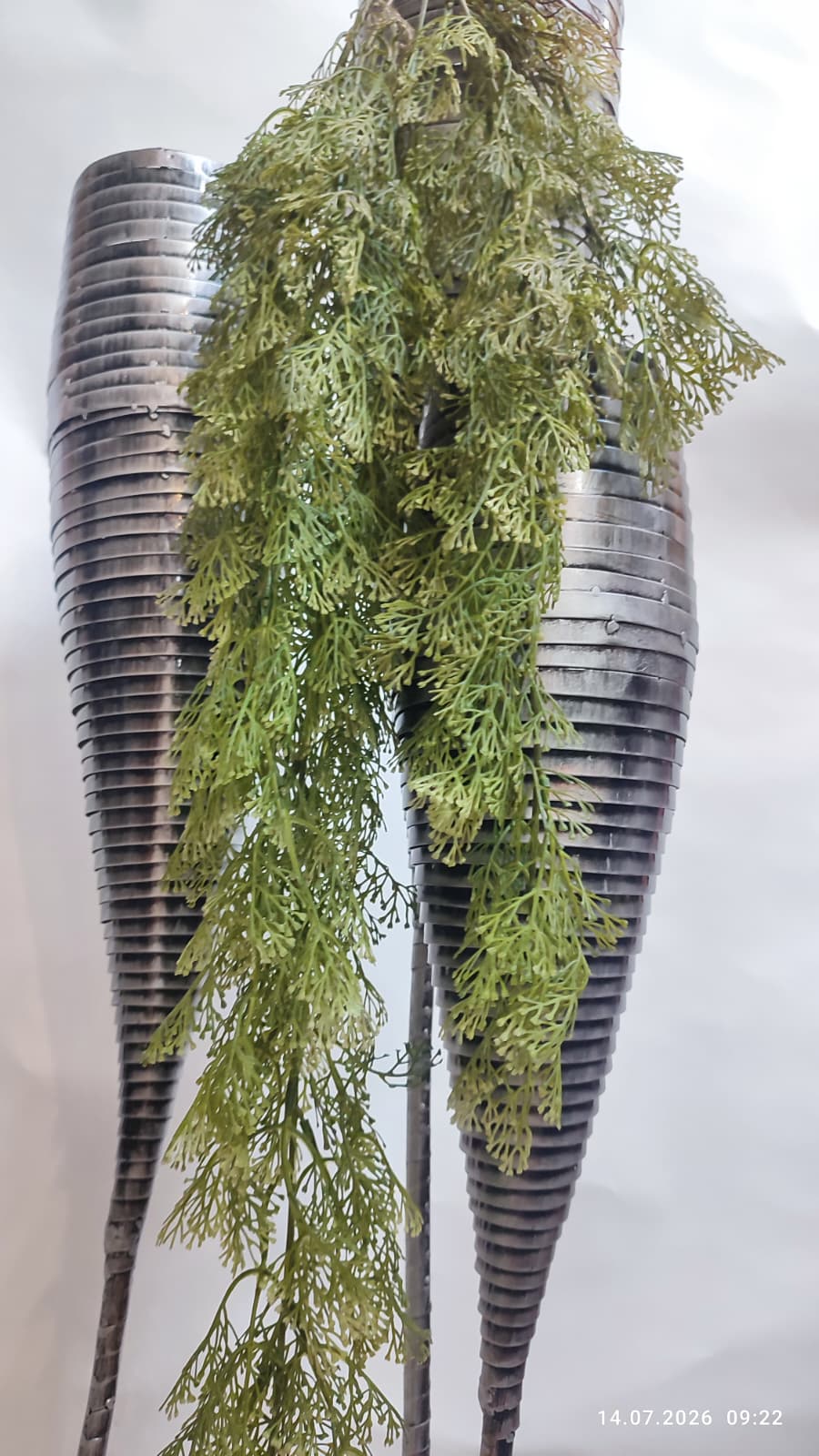 Plante Curgatoare