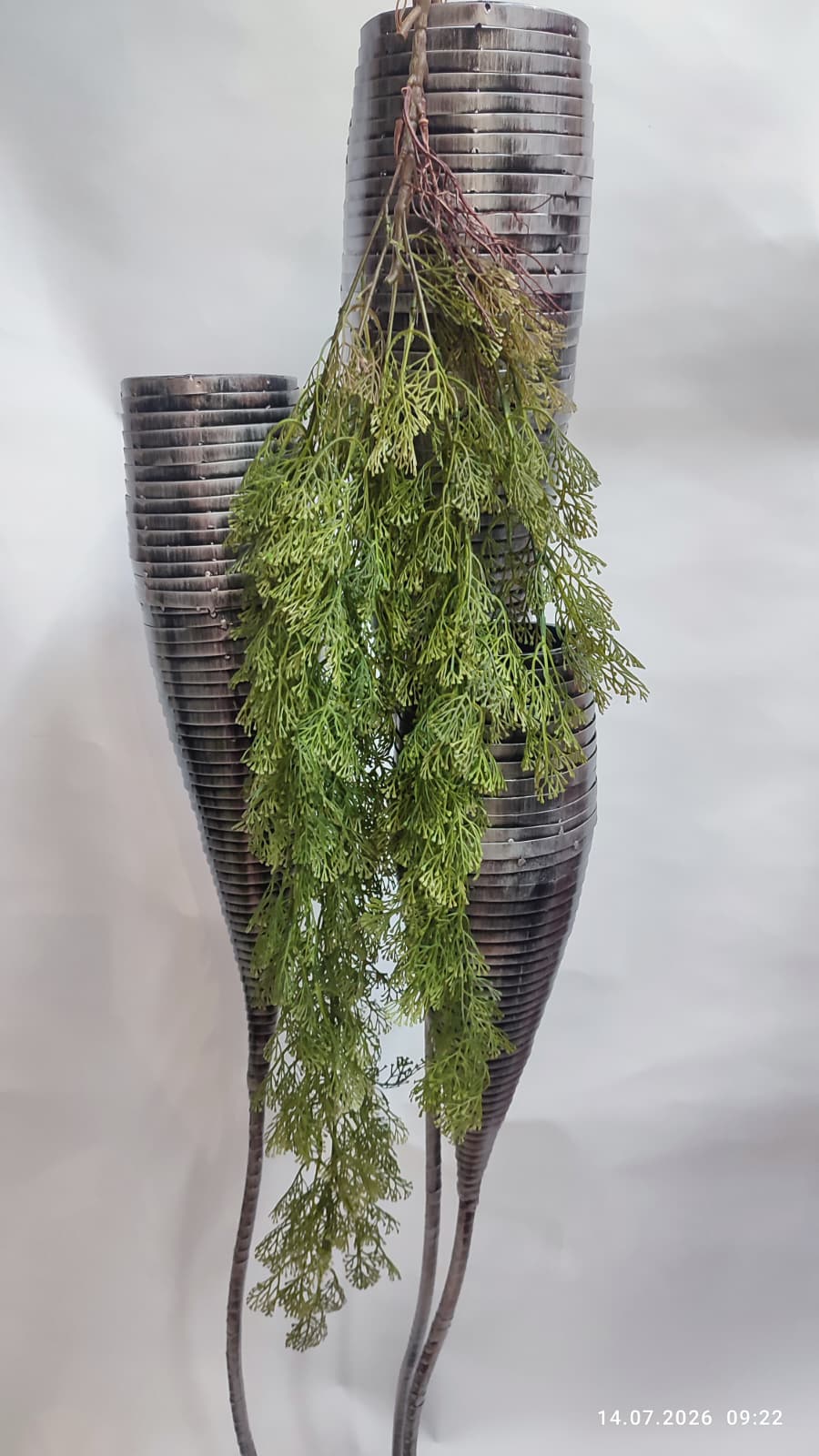 Plante Curgatoare
