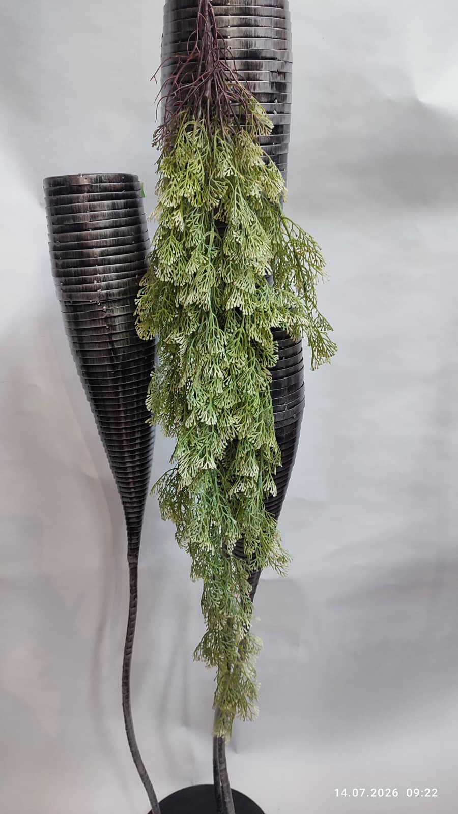 Plante Curgatoare