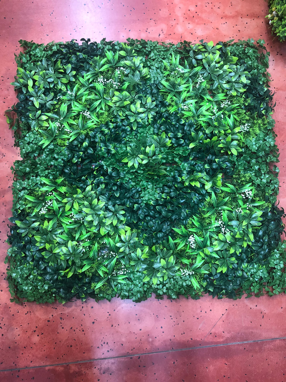 Panou Verdeata 1m/1m