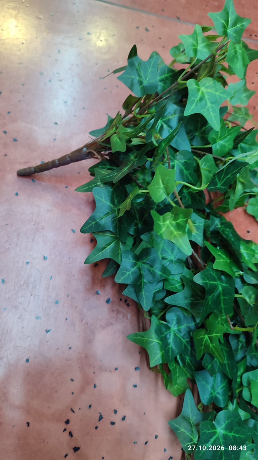 Buchet Iedera Curgatoare