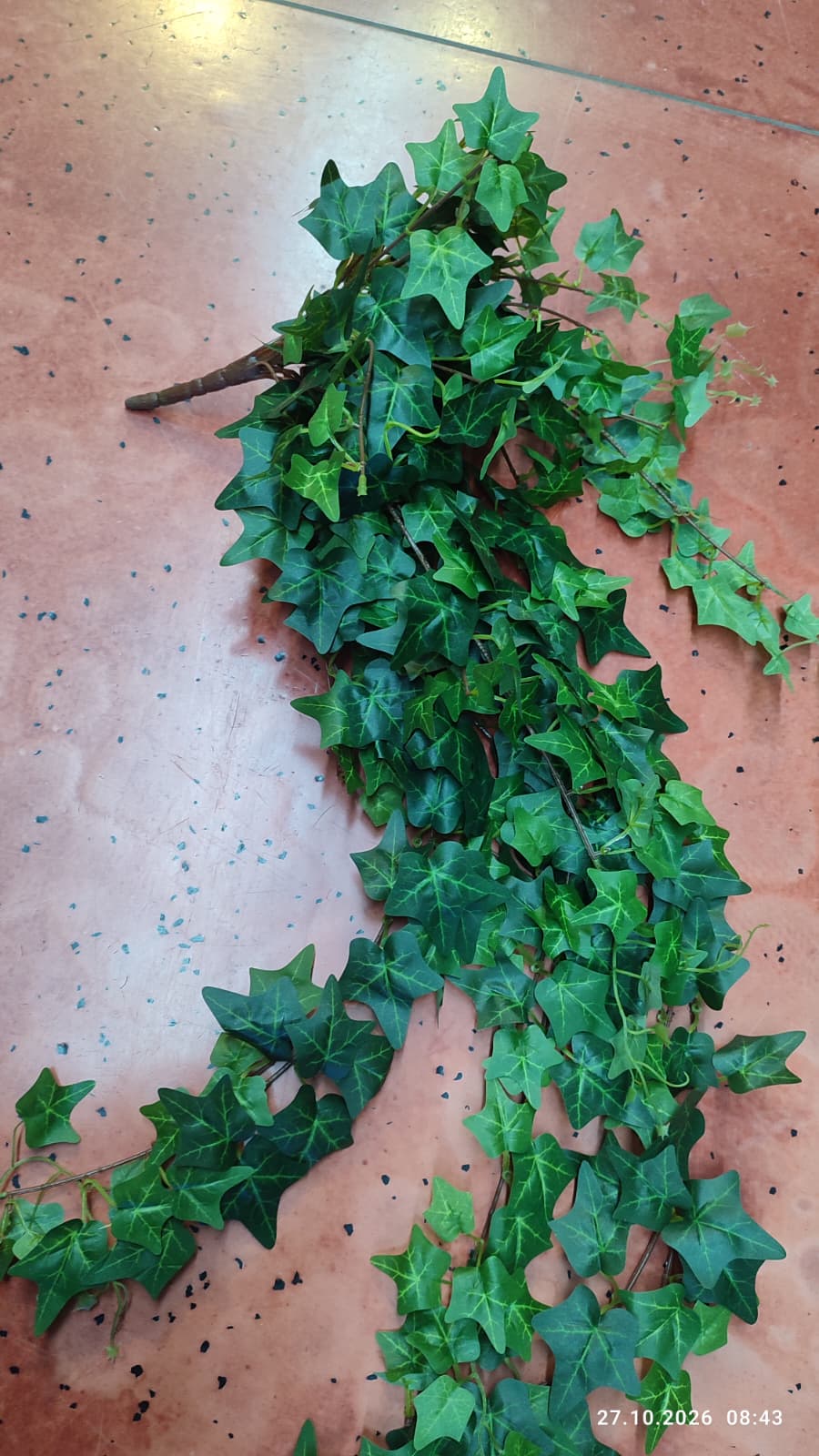 Buchet Iedera Curgatoare