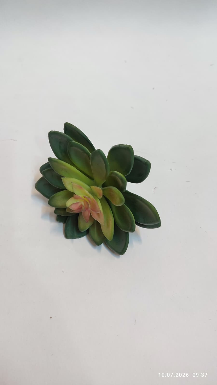 Suculente Decorative Artificiale
