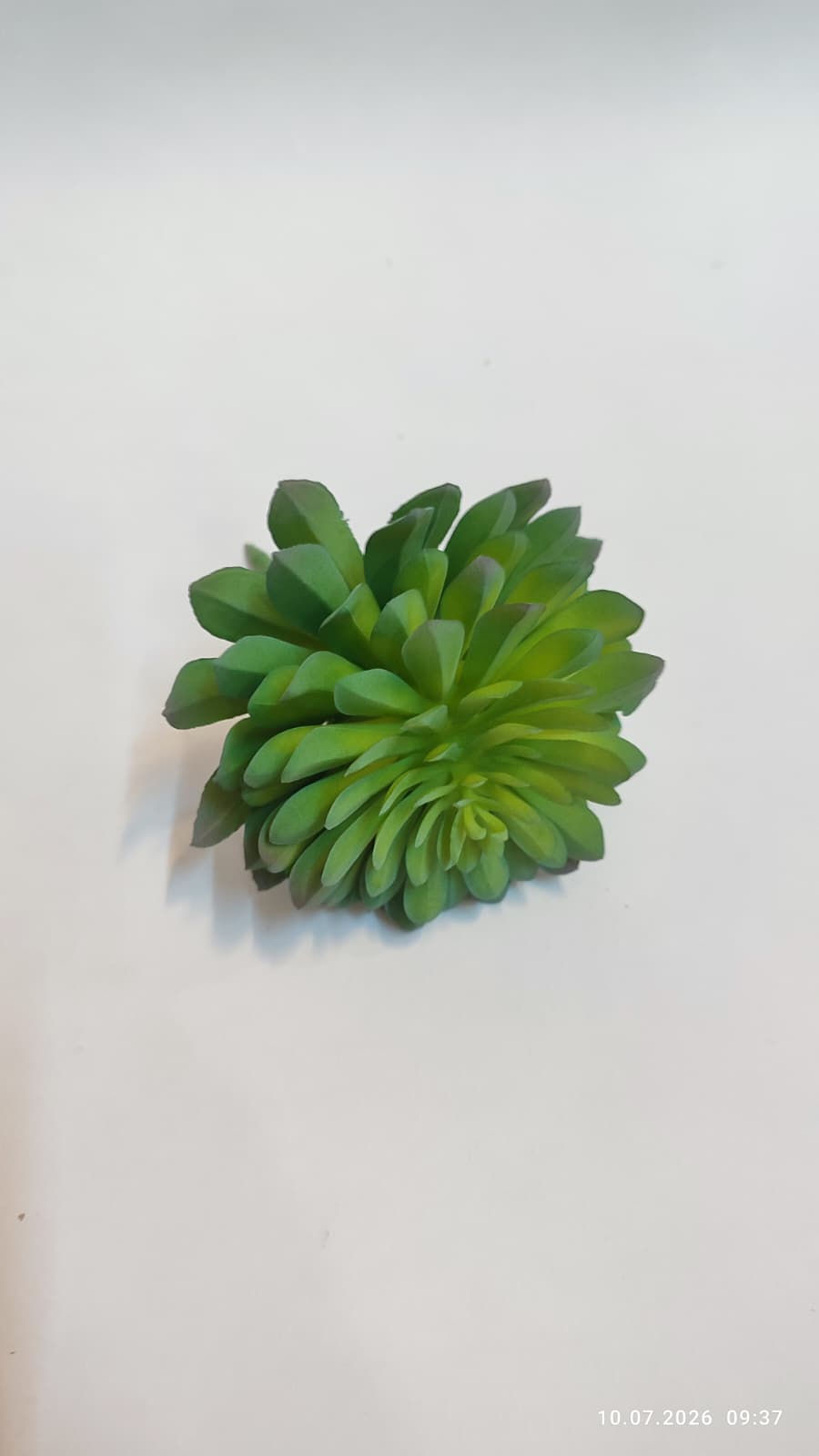 Suculente Decorative Artificiale
