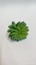 Suculente Decorative Artificiale