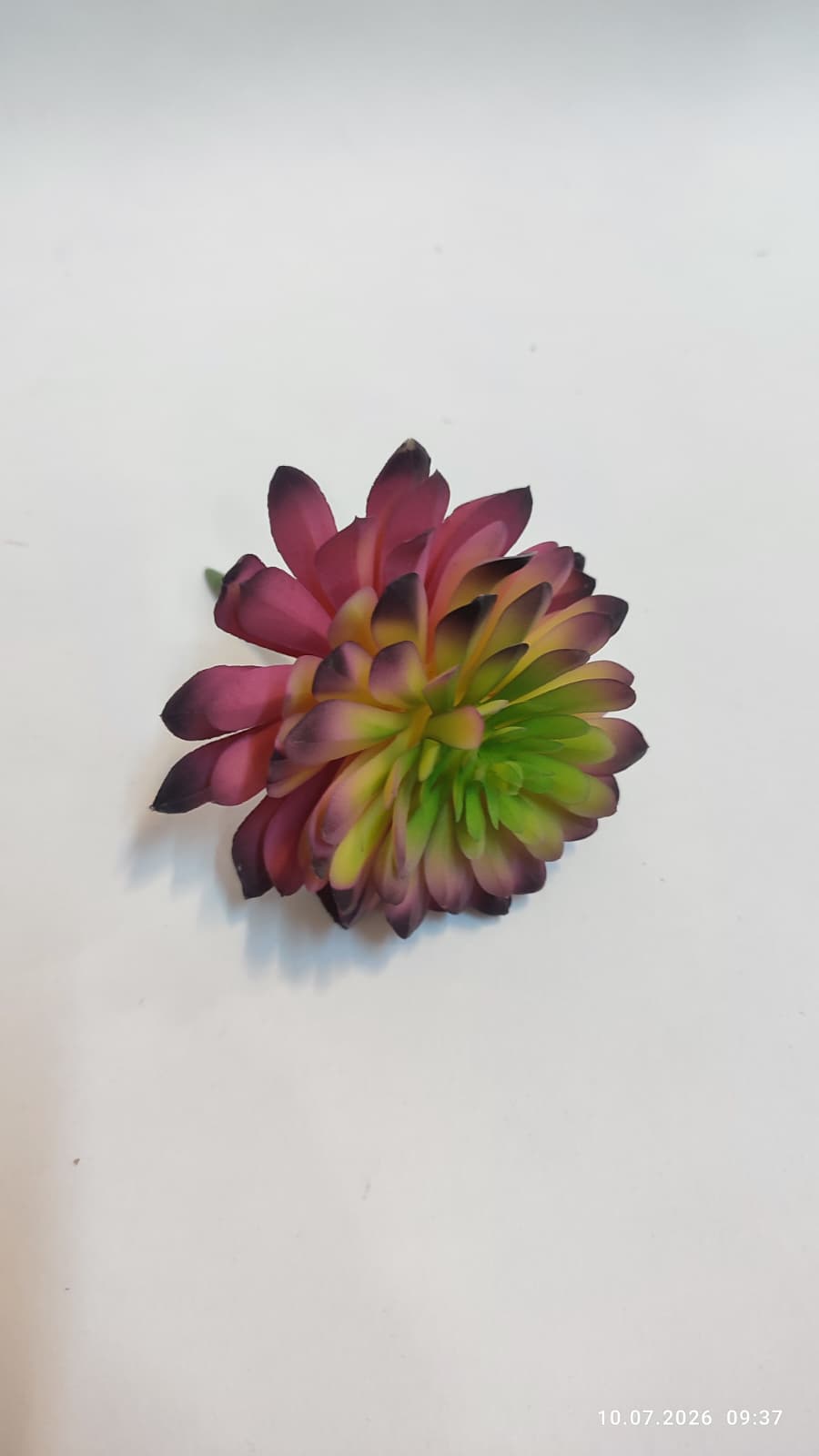 Suculente Decorative Artificiale