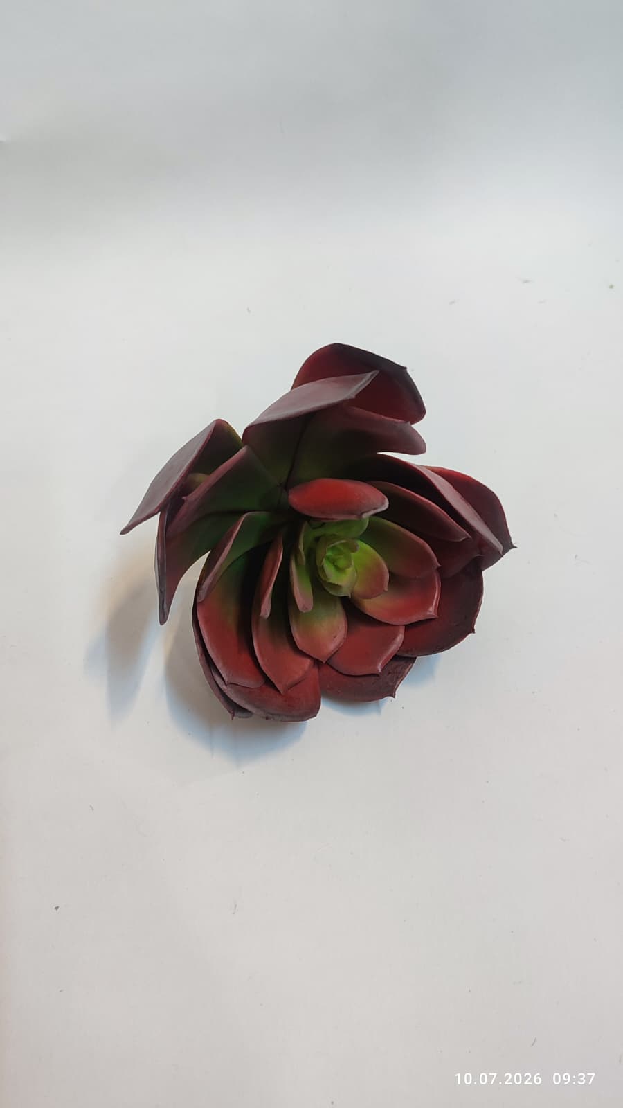 Suculente Decorative Artificiale