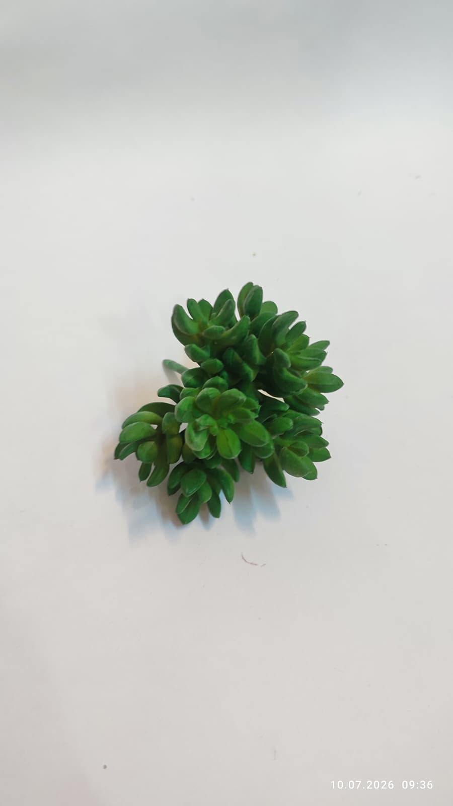 Suculente Decorative Artificiale