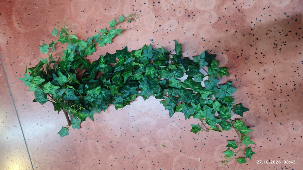 Buchet Iedera Curgatoare